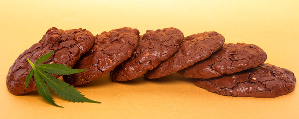 oatmeal cookies and green leaf of cannabis on a yellow background. marijuana cookies.