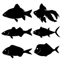 vector illustration of fish.collection of fish icon
