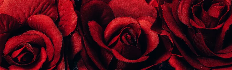 Foto op Aluminium red rose background © Erika