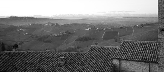 Wide winter panorama of the vineyards in Serralunga d'Alba, small village in the hilly region of the Langhe (Piedmont, Northern Italy) UNESCO site since 2014.