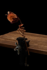 A metalwork vice on a desktop with a clamped and dried rose is a symbol of the struggle against the destruction of nature by technological progress.