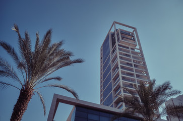 palm trees and modern buildings in Tel Aviv, ISRAEL.