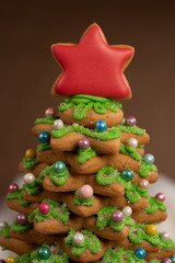 christmas gingerbread cookies
