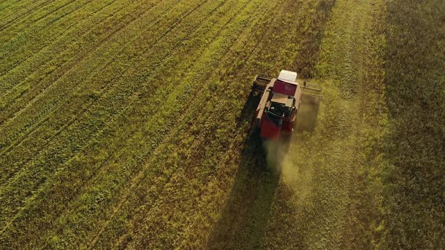Bird's eye view of a vintage combine harvester cutting wheat in a field for the food industry and agribusiness agriculture