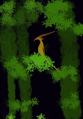 dinosaurs Pteranodon bird illustration of a background © venis