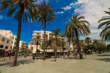 Fototapeta na wymiar palm trees on the beach-san antoni-ibiza