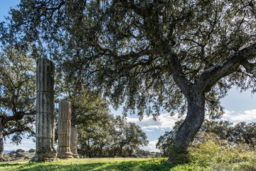 Roman ruins of Augustobriga, Caceres (Extremadura - Spain)