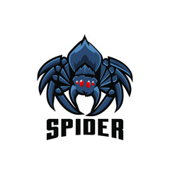 spider sport logo design illustration