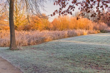 Winter am Morgen