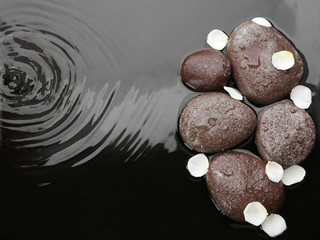 Spa stones and flower petals in water, top view with space for text. Zen lifestyle