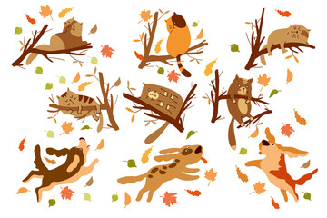 Set of cats and dogs. Cartoon style. Cats sleep on tree branches, dogs bark at cats, play, jump in the park. Brown - yellow color. vector