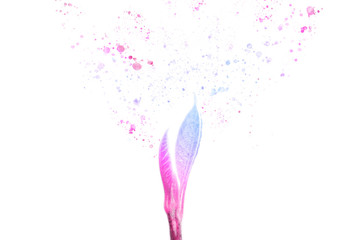 Sprout on isolated white. 