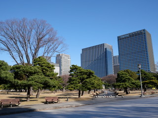 ２０２０年東京オリンピックの年の東京の風景　元日の皇居外苑の風景