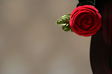 Rosa rossa