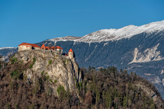 bled lake Castle aerial view panorama in winter