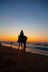 Woman riding a horse on the beach