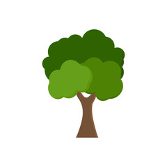 Green tree Fertile A variety of forms on the White Background,Set of various tree sets,Trees for decorating gardens and home designs.vector illustration and icon