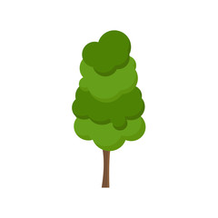 Green tree Fertile A variety of forms on the White Background,Set of various tree sets,Trees for decorating gardens and home designs.vector illustration and icon