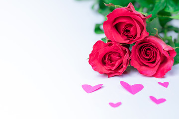 Roses and heart paper on a white background with copy space, Valentine's Day ideas, Wedding Day