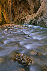 Virgin River Narrows aglow with reflected color from sunlit cliffs and blue sky overhead and captured with motion blur, Zion National Park, Utah, USA