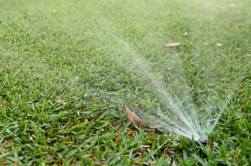 on a green lawn, watering systems, watering plants and flowers in the sun