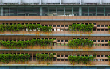 green plant and wood building facade view background