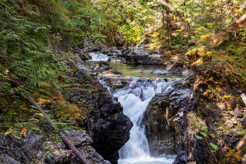 Hidden treasure of nature, Qualicum Falls, Vancouver Island, BC, Canada