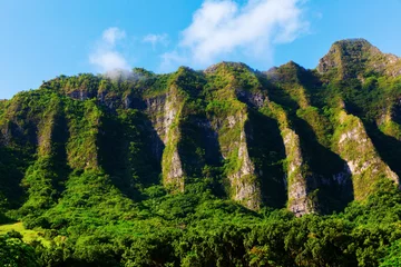 Fototapeten mountain chain on Oahu, Hawaii © Christian Müller