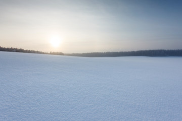 Fototapeta na wymiar winter landscape with the forest and the sun