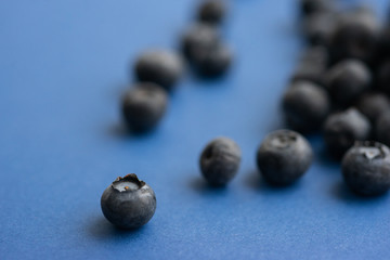 Blueberry berry on a classic blue background.