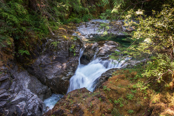 Wild river flow through the jungle, Qualicum Falls, Vancouver Island, BC, Canada