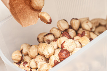 Pour hazelnuts into storage container. Stocks of nuts for the winter for immunity.