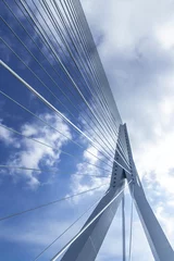 Stoff pro Meter Erasmus-Brücke in Rotterdam © Roger