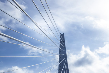 Erasmus bridge in Rotterdam