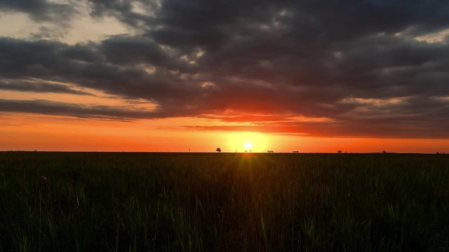 sunrise on wheat field time lapse, dawn in the steppe time lapse, sunrise in prairie, sunrise over field, morning sun over the field