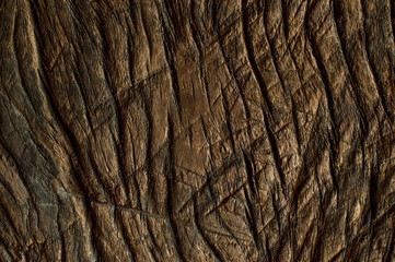Patterned textures of old wood Natural wood patterns and art