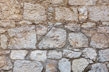 Background of natural old stone brick of an old castle, hedge.