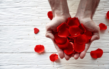 Male hands with red rose petals on a white wooden background. St. Valentine's Day background. 