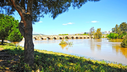 Fototapeta premium Roman bridge of Merida over Guadiana river. World Heritage City by Unesco, Extremadura, Spain.