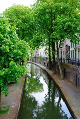 Fototapeta na wymiar Beautiful canal view with trees on both sides in Utrecht, Netherlands