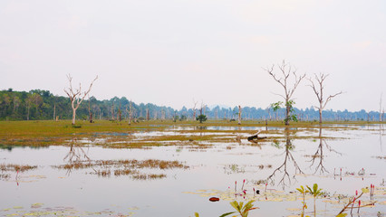 Beautiful nature landscape view of lake pond at Neak Poan in Angkor Wat complex, Siem Reap Cambodia.