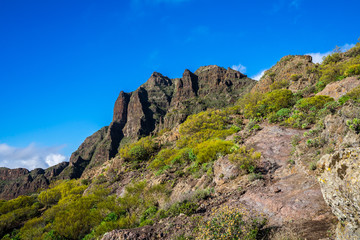 Spain, Tenerife, Green plant covered mountains nature landscape of masca with blue sky