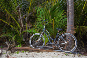 Fototapeta na wymiar Old Abandoned and Rusty Bike Leaning againts tree on the edge of the jungle.
