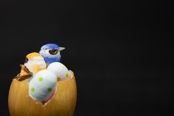 birds in egg shell, Easter