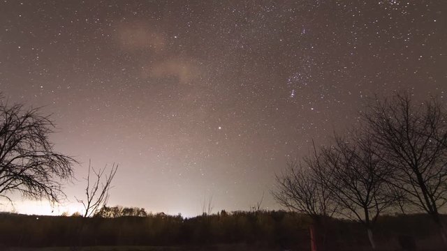stars orion