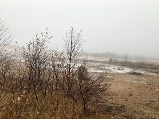 Scenic autumn / winter landscape with mud, bushes, fog, boiling water and ice around geothermal area of The Great Geysir in Iceland: natural landmark of the Golden Circle