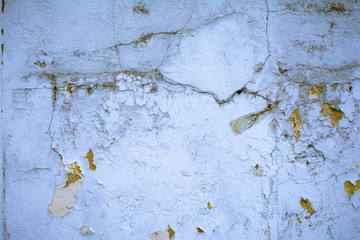Fondo Pared   40