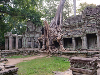 Fototapeta premium Landscape view of demolished stone architecture and aerial tree root at Preah Khan temple Angkor Wat complex, Siem Reap Cambodia. A popular tourist attraction nestled among rainforest.