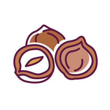 Nazel nut color line icon. Nuts in the shell. Pictogram for web page, mobile app, promo. UI UX GUI design element. Editable stroke.