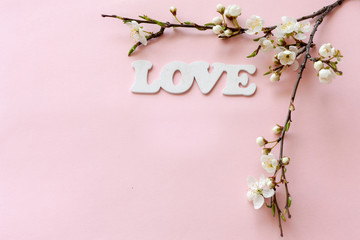 Close up of Branch of blossoming cherry and letters love on pastel candy pink background